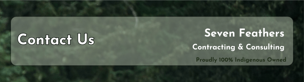 Contact Us Page Header on a green background of fir trees.