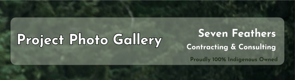 Gallery Page Header on a green background of fir trees.